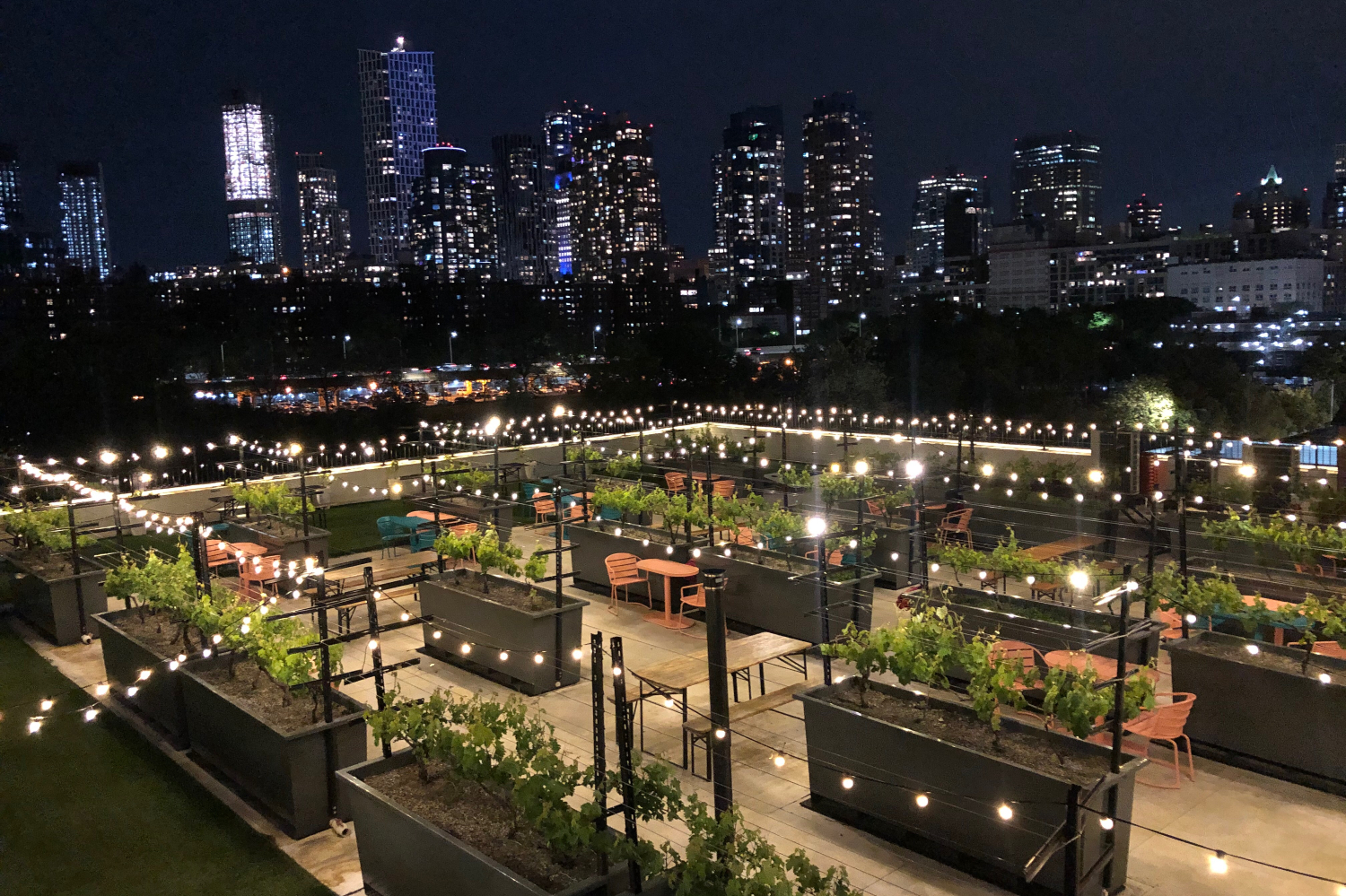 Rooftop Reds, a rooftop vineyard in Brooklyn, at night