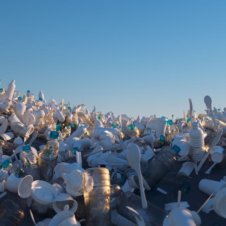 A "sea" of single-use plastics.