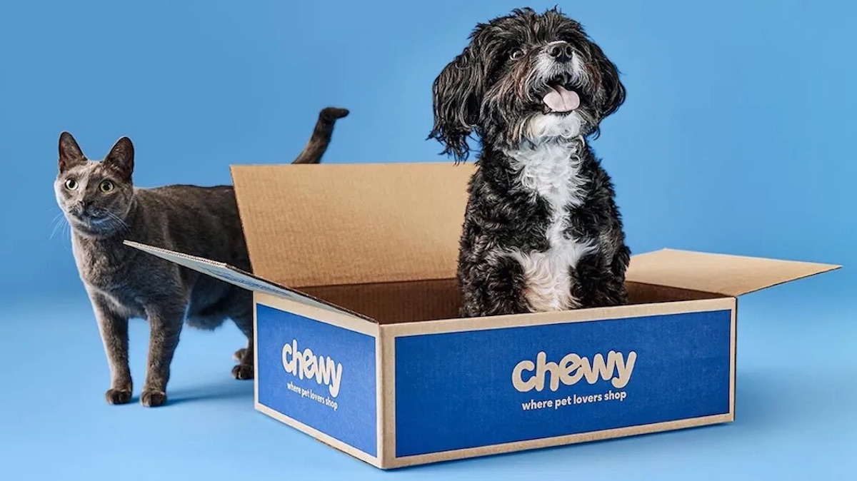 a cat and a dog against a blue background in a Chewy box
