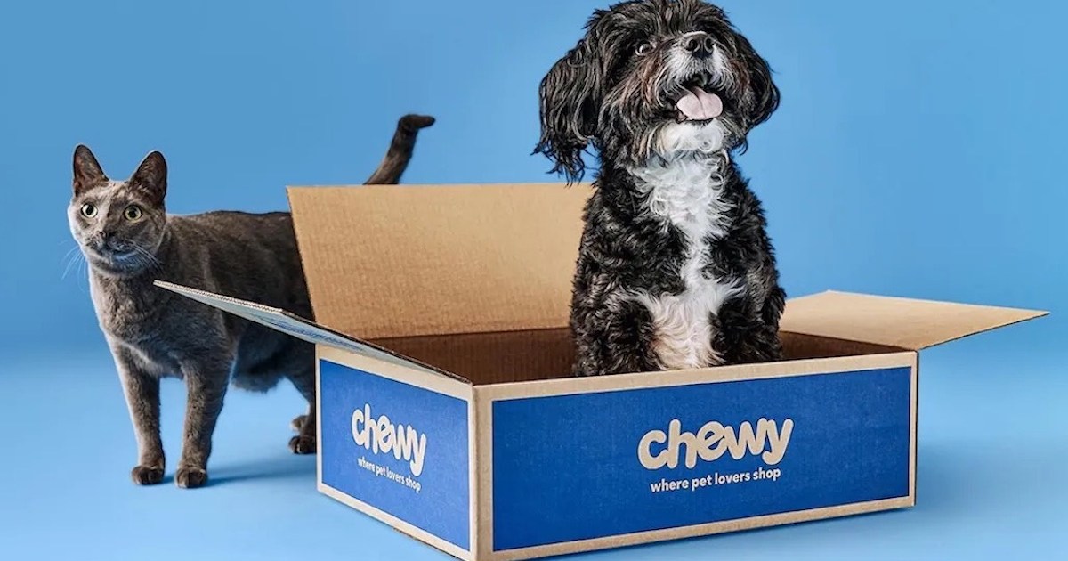a cat and a dog against a blue background in a Chewy box