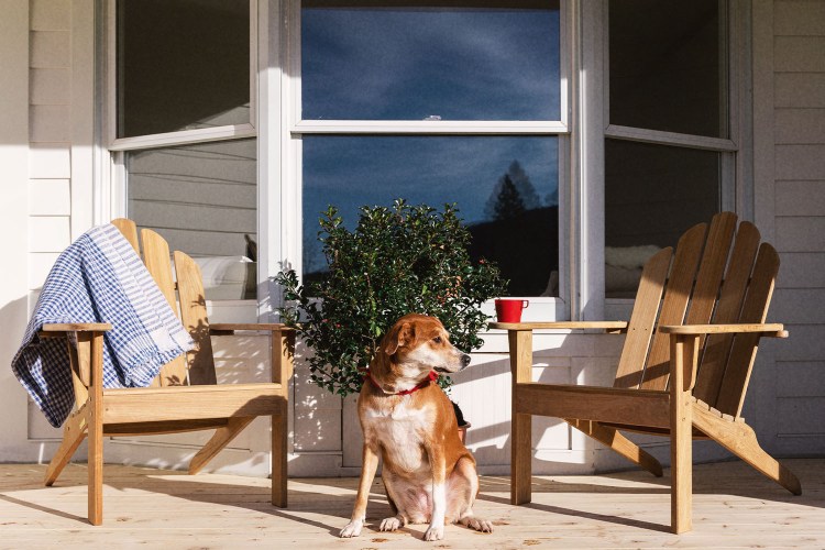A dog sitting on a porch between two Adirondack chairs, at Wylder Windham