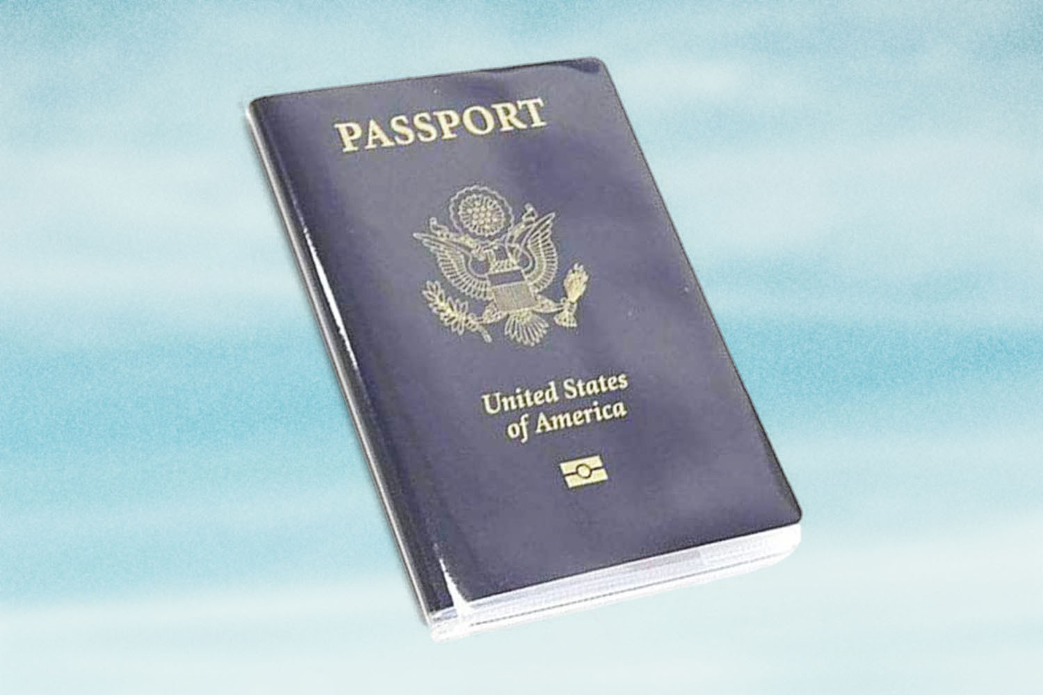 Transparent Passport Protector
