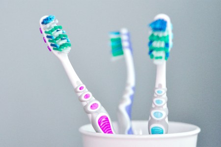 Close-up photo shows three toothbrushes in one white cup