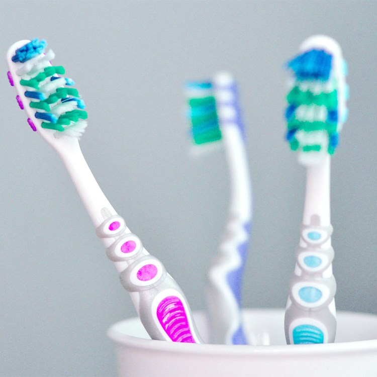 Close-up photo shows three toothbrushes in one white cup