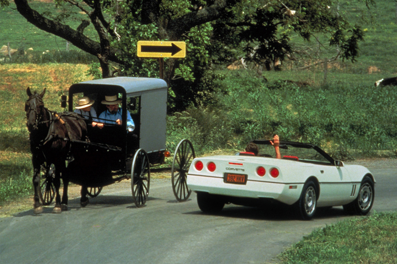 A white Chevrolet Corvette C4 convertible driving around a curve while passing two Amish men in a buggy