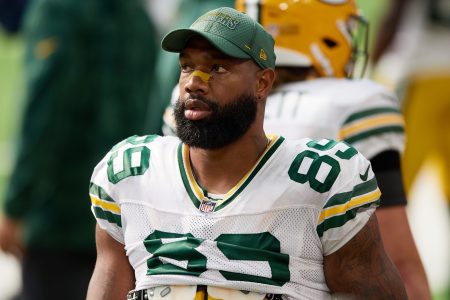 Marcedes Lewis of the Green Bay Packers looks on during a game against the Minnesota Vikings
