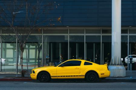 Yellow Mustang