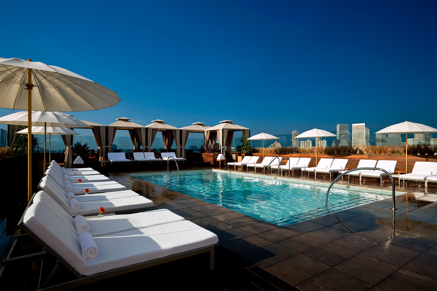 Rooftop Pool at The Sixty
