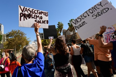 A women's march in Los Angeles, with two women holding signs arguing in favor of vasectomies.