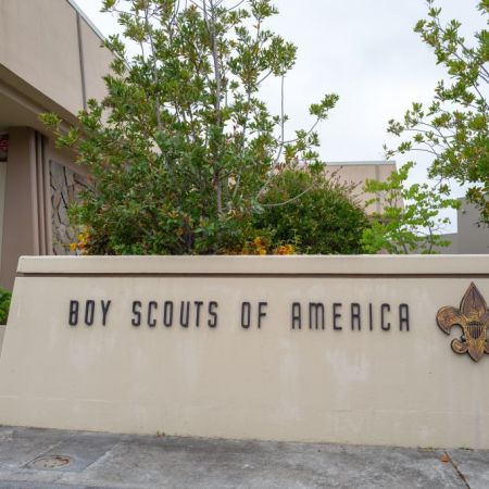 Boy Scouts logo