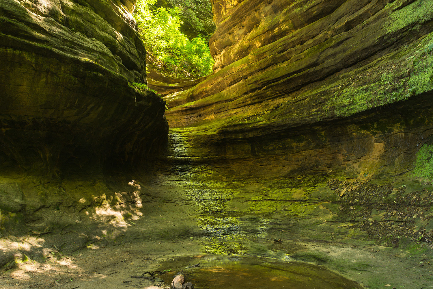 Sunlight shining into Aurora Canyon as water softly flows through the canyon. Starved Rock State Park, Illinois, USA.