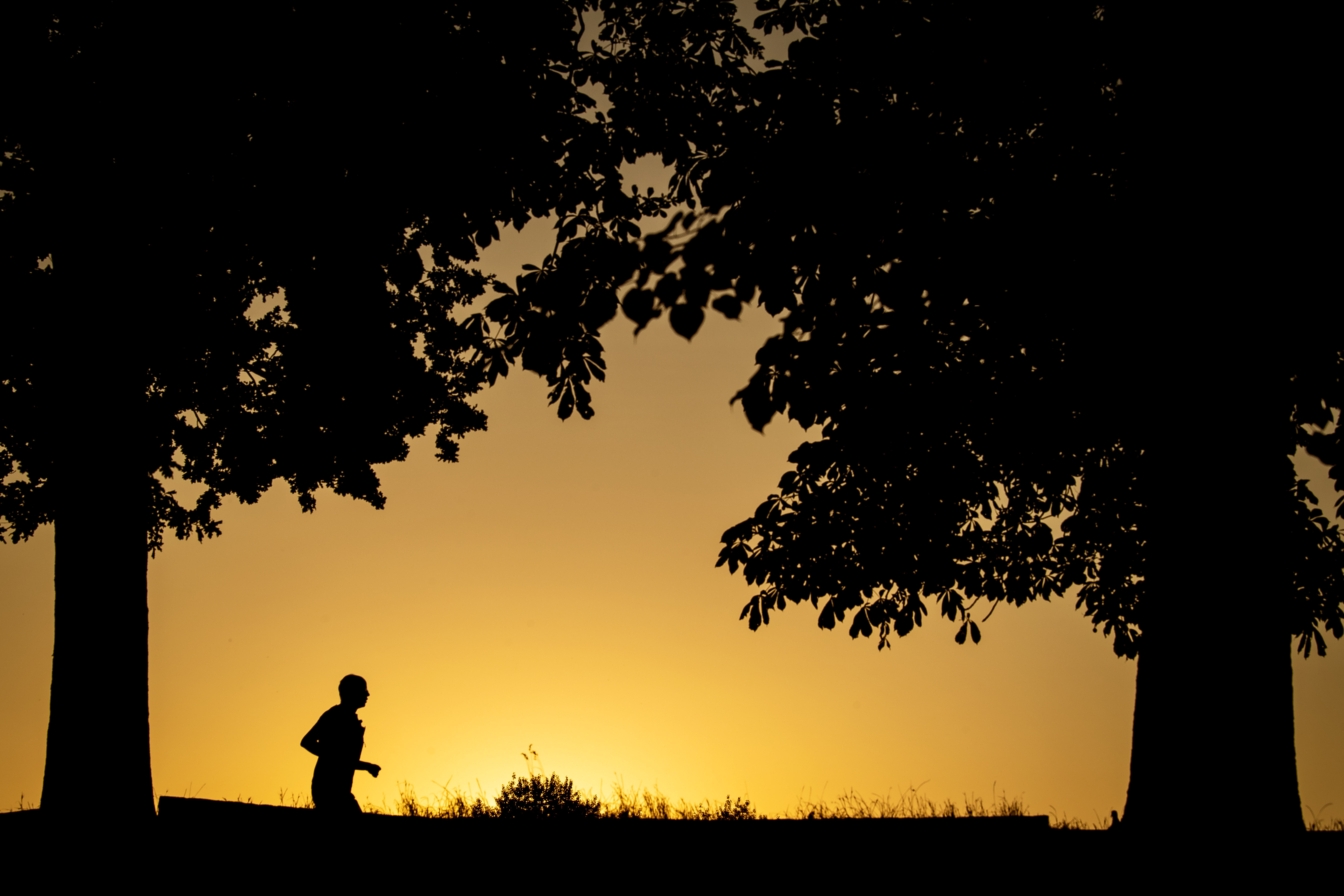 A jogger in front of sunrise.