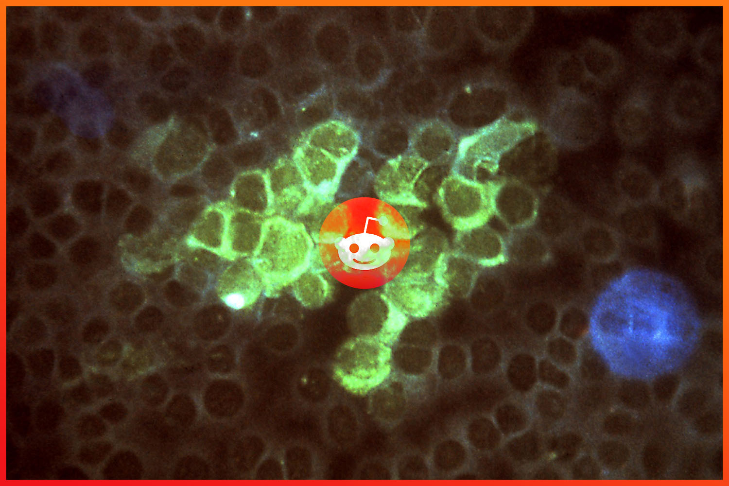 Herpes-Reddit-2.jpg?w=1500