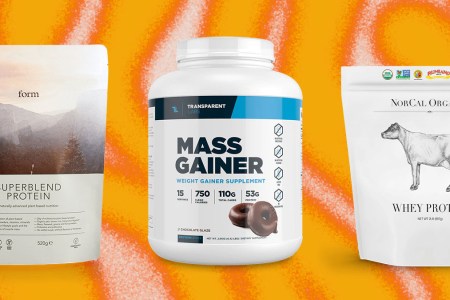 There Are Too Many Protein Powders. These 7 Stand Above the Rest.