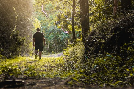 man walking in forest