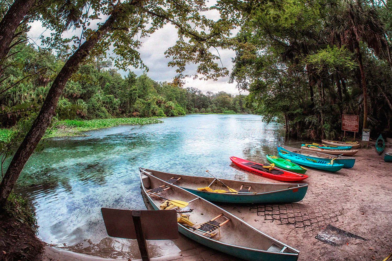 Canoes at Wekiwa Springs State Park in Florida