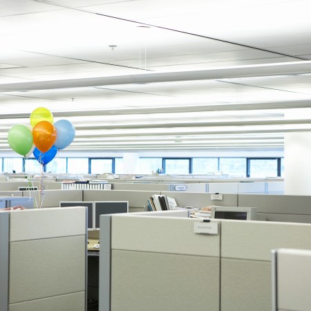 Balloons floating in the middle of a boring office.