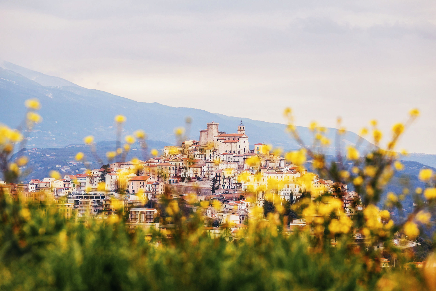 The town of Casoli, Italy, as seen from far away behind yellow flowers