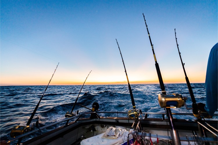 Fishing poles hooked to the end of a boat, booked by Captain Experiences, in the middle of the ocean during sunset