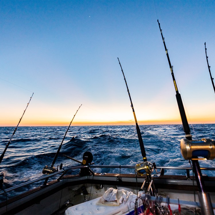 Fishing poles hooked to the end of a boat, booked by Captain Experiences, in the middle of the ocean during sunset