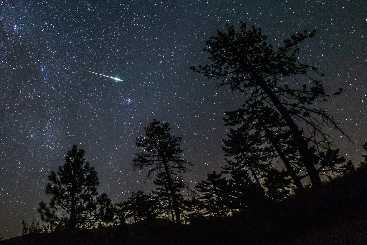A meteor from the 2016 Perseid meteor shower streaks across the night sky above some pine trees in the Cleveland National Forest. Mount Laguna, San Diego County, California.