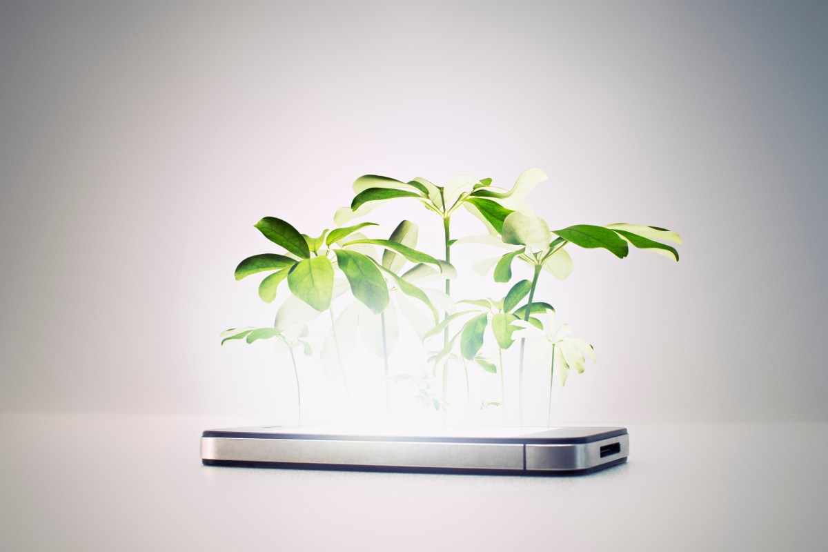 A smartphone with greens sprouting from its screen.