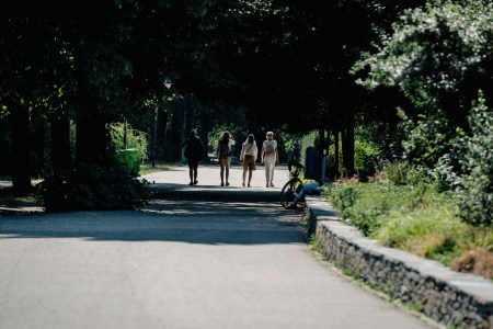 A group of friends walking through a park. A new study recommends walking for two minutes after eating.