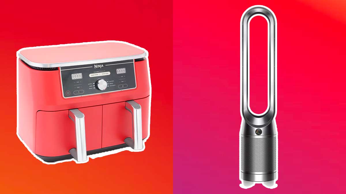 The Ninja Foodi XL 10-qt 6-in-1 DualZone Air Fryer with Rack and Dyson Pure Cool TP04 Tower Fan and Purifier with 360 HEPA Filter, two of the best items to shop right now on QVC.