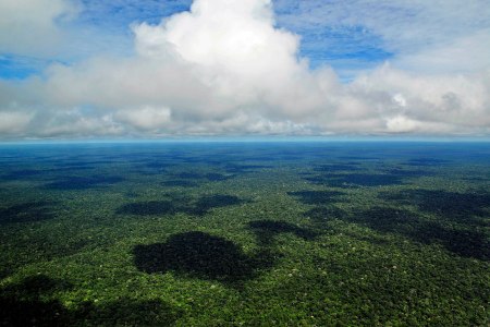 Climate Change May Have Already Ruined Parts of the Amazon
