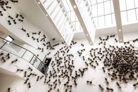Amsterdam Art Museum Incorporates Real Bugs In a New Exhibition