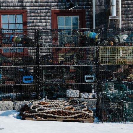 Lobster traps on a dock in Castine, Maine. Lobsters are at risk from climate change in the Gulf of Maine.