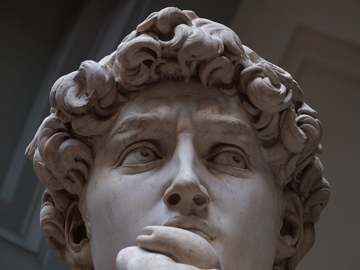 Michelangelo's David