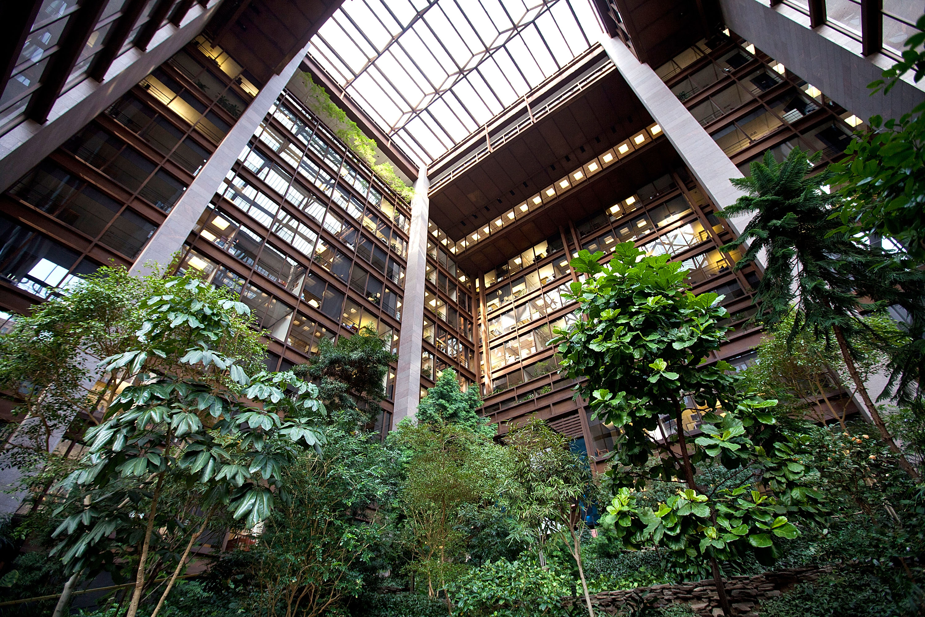 A beautiful workplace atrium with vegetation in New York City.