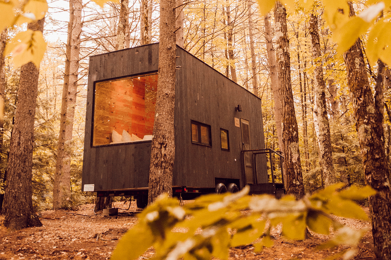 A tiny home available to book through Getaway with yellow autumn leaves surrounding it