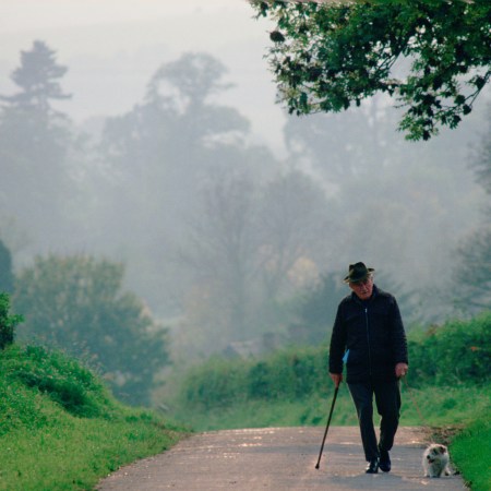 An old man walks with his dog down an empty country lane.