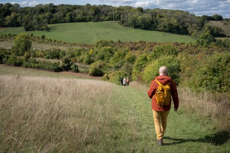 An elderly man walking through the countryside. A new study suggests exercising could benefit not just your children, but your grandchildren as well.
