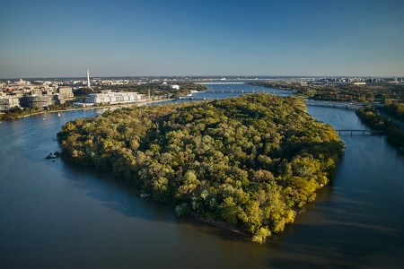 The tree-covered Theodore Roosevelt Island in the middle of the Potomac River in Washington, D.C. Here's what you need to know about swimming in the river, if you're curious like Lorde.