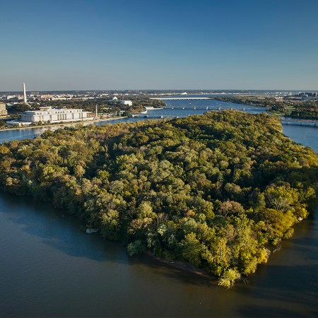 The tree-covered Theodore Roosevelt Island in the middle of the Potomac River in Washington, D.C. Here's what you need to know about swimming in the river, if you're curious like Lorde.