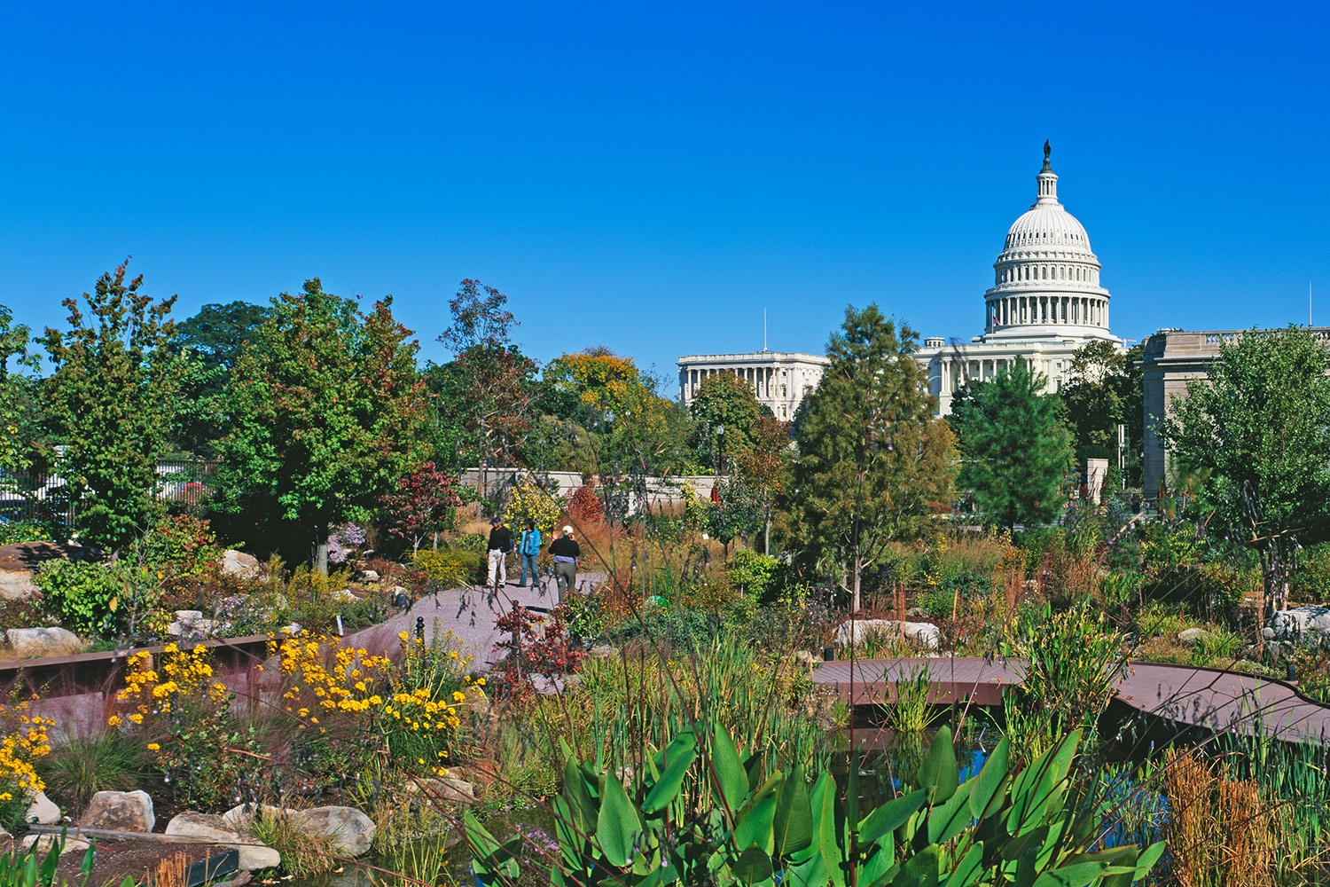 United States Botanic Garden and the Capitol Building Murat Taner