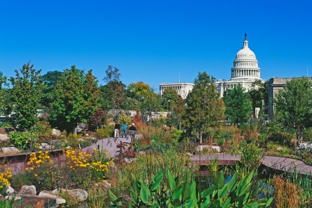 United States Botanic Garden and the Capitol Building Murat Taner