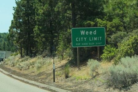 Weed, California