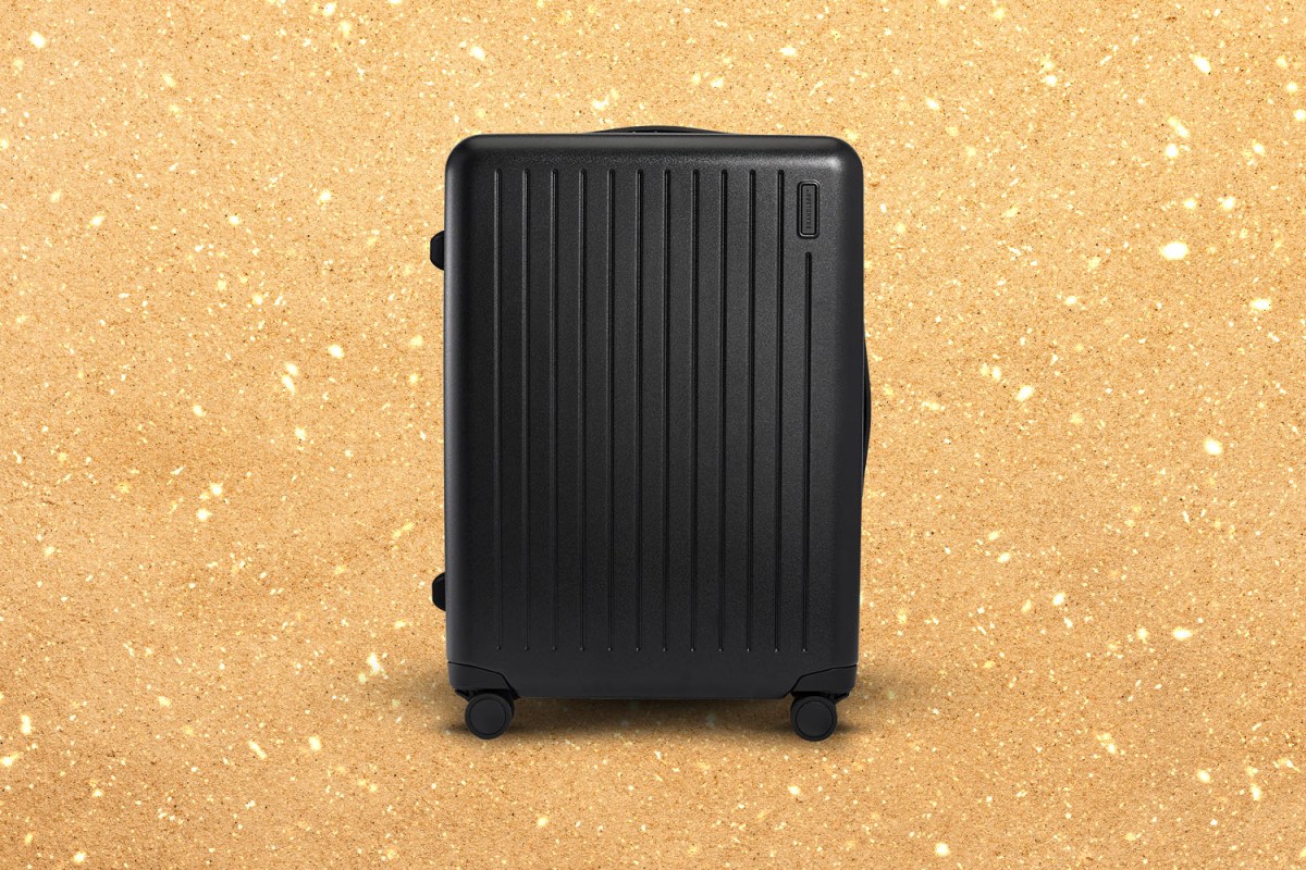 Brandless Checked Luggage