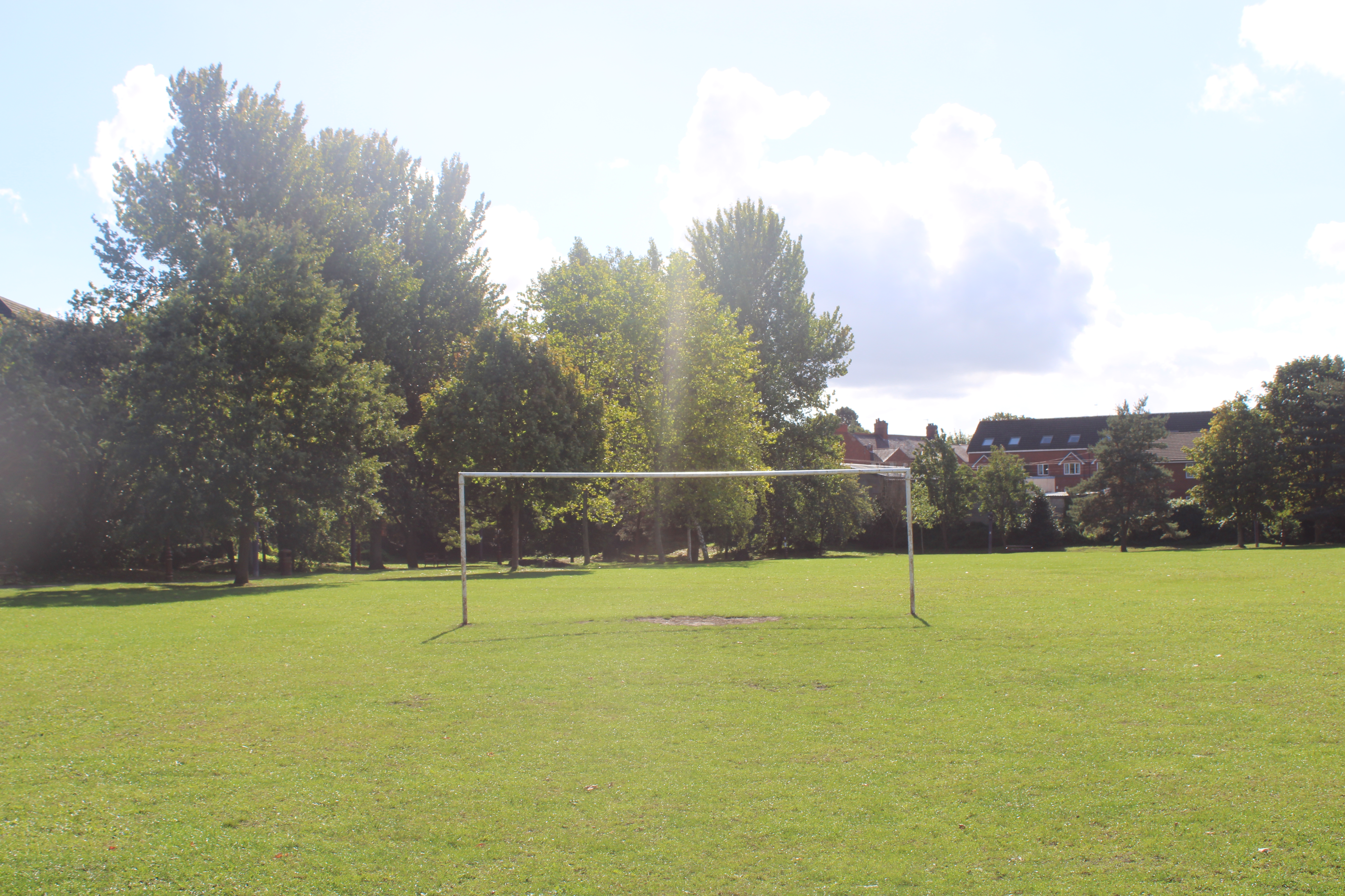A football pitch in Wales with green grass and a goal.