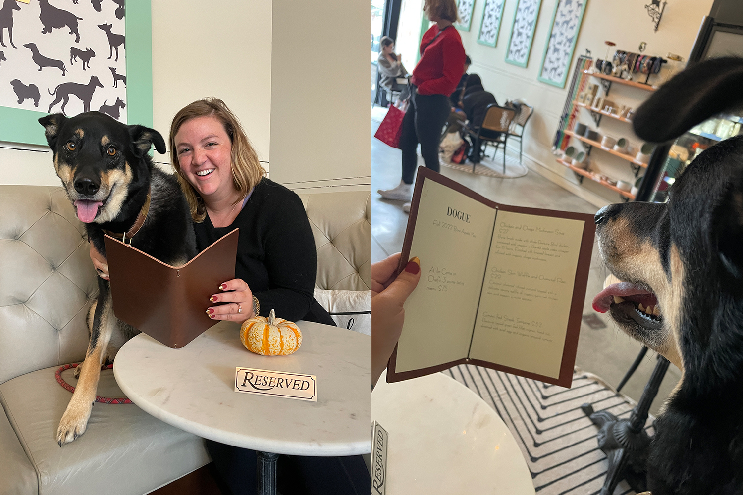 Writer Ali Wunderman and her dog Vinny looking over the menu at Bone Appetit Cafe at Dogue in San Francisco