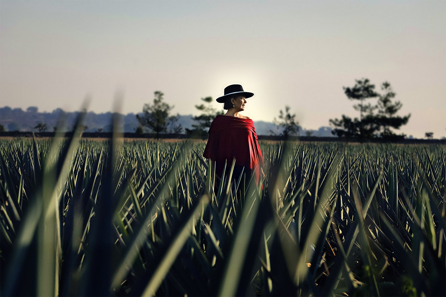 Ana Maria Romero Mena, the Maestra Tequilera behind the tequila brand Mijenta, stands in a field of agave plants