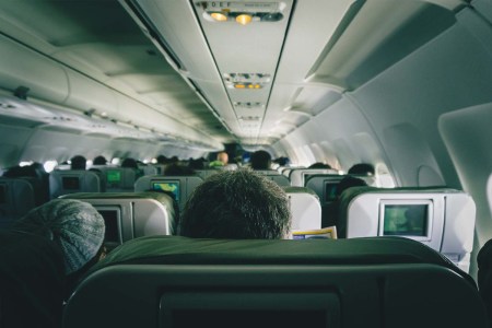 Top of man's head, sitting in a middle seat