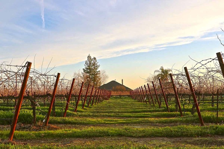 An outside shot of Acquiesce Vineyards & Winery in Lodi, an area that's increasingly influential in winemaking