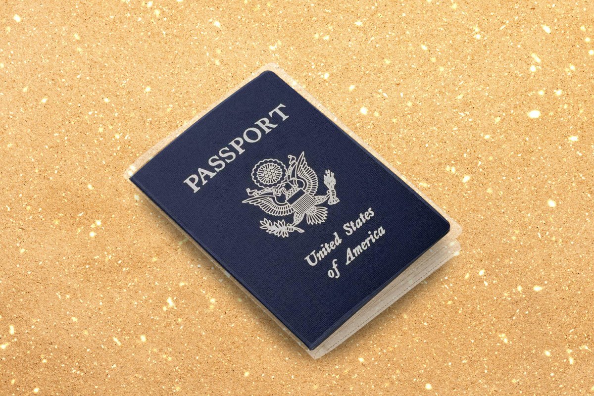 Transparent Passport Protector