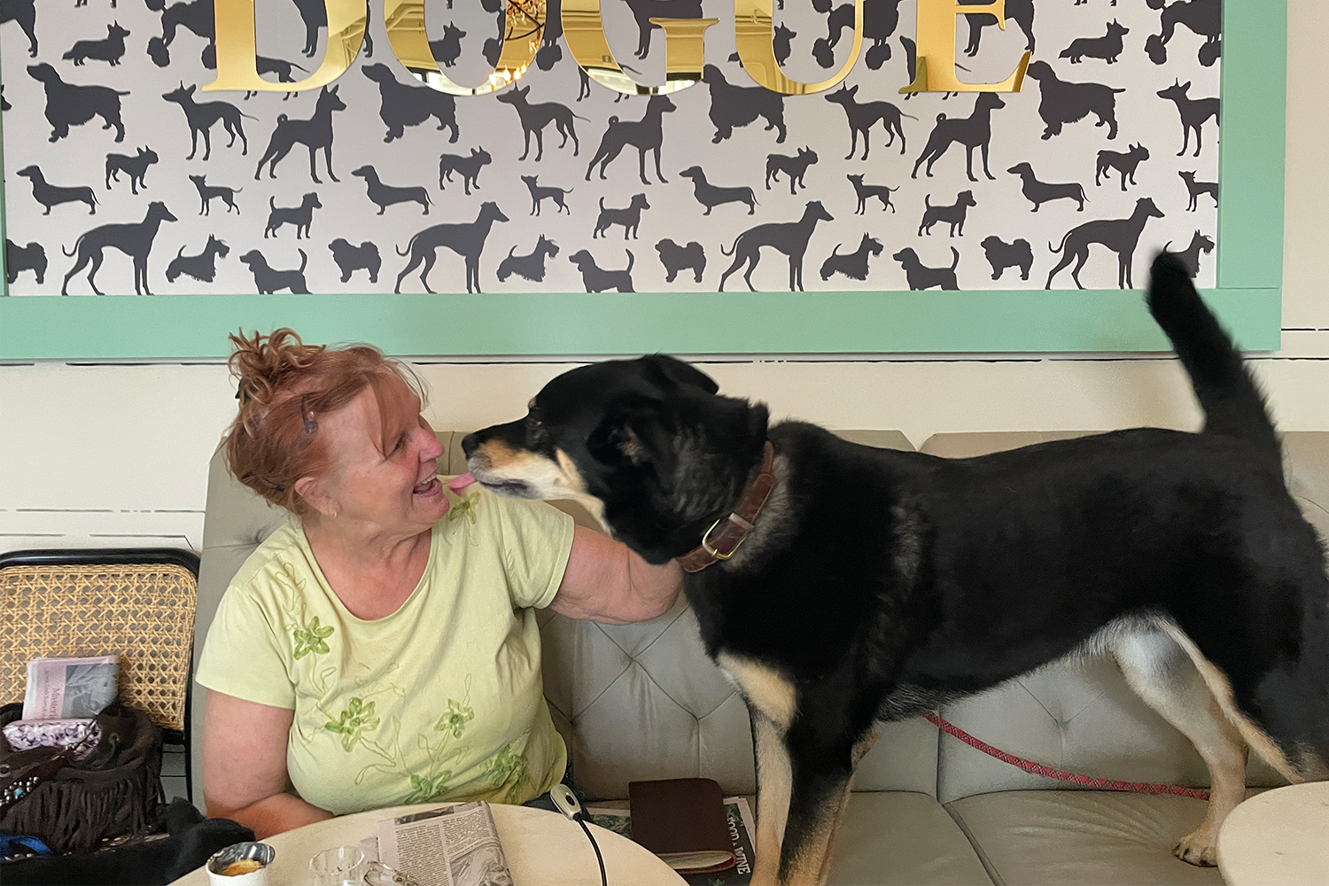 Vinny the dog greeting a woman at Dogue's Bone Appetit Cafe in San Francisco