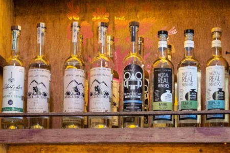 Everything You Know About Mezcal Is Wrong